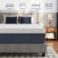 Matelas en mousse viscoélastique gélifiée 14 pouces-836878584