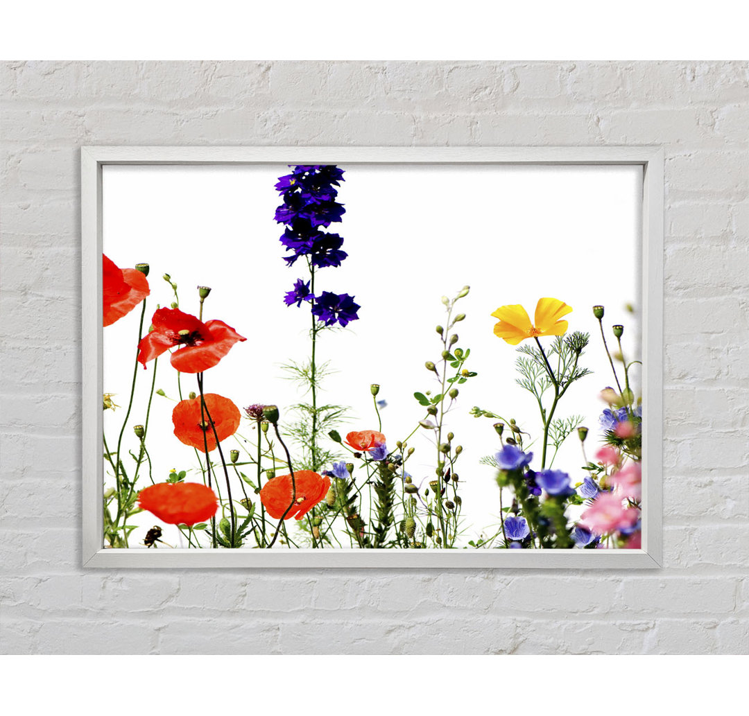 Wild Flower Garden In Bloom - Single Picture Frame Kunstdrucke auf Leinwand