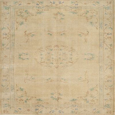Oriental Indoor Rug