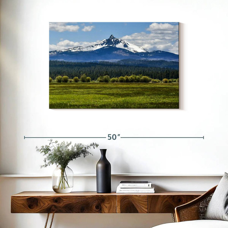 Alvord Butte Ranch Field, 24" H x 36" W