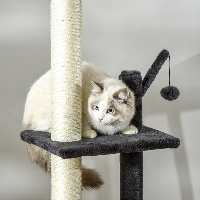 Jouet pour chat Pawhut