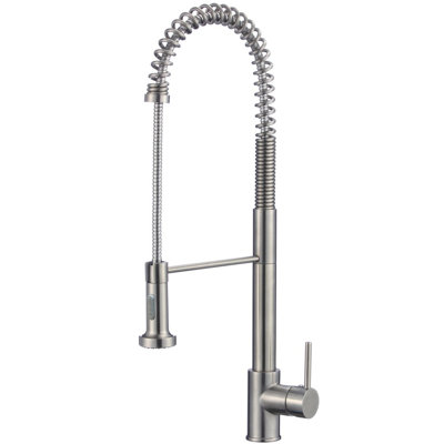 Eisen Home Vesoul Pull Down Kitchen Faucet