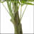 160CM ARTIFICIAL PACHIRA MACROCARPA-141623884