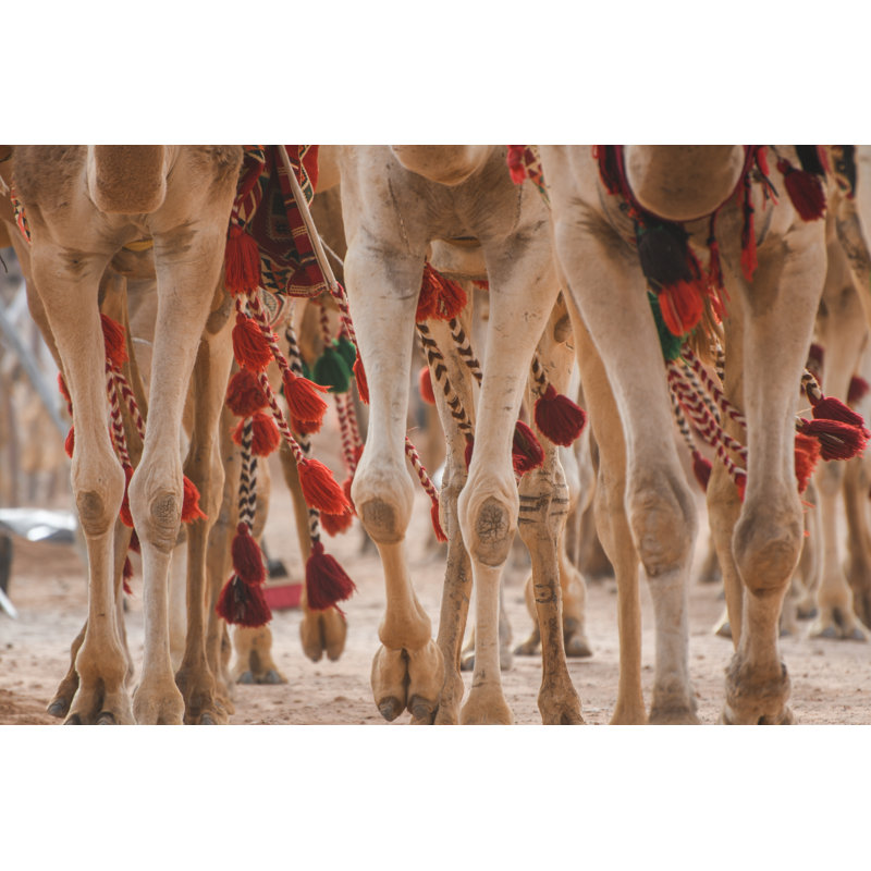 Camel caravan 1 Piece Wrapped Canvas Wall Art, 20cm H x 30cm W