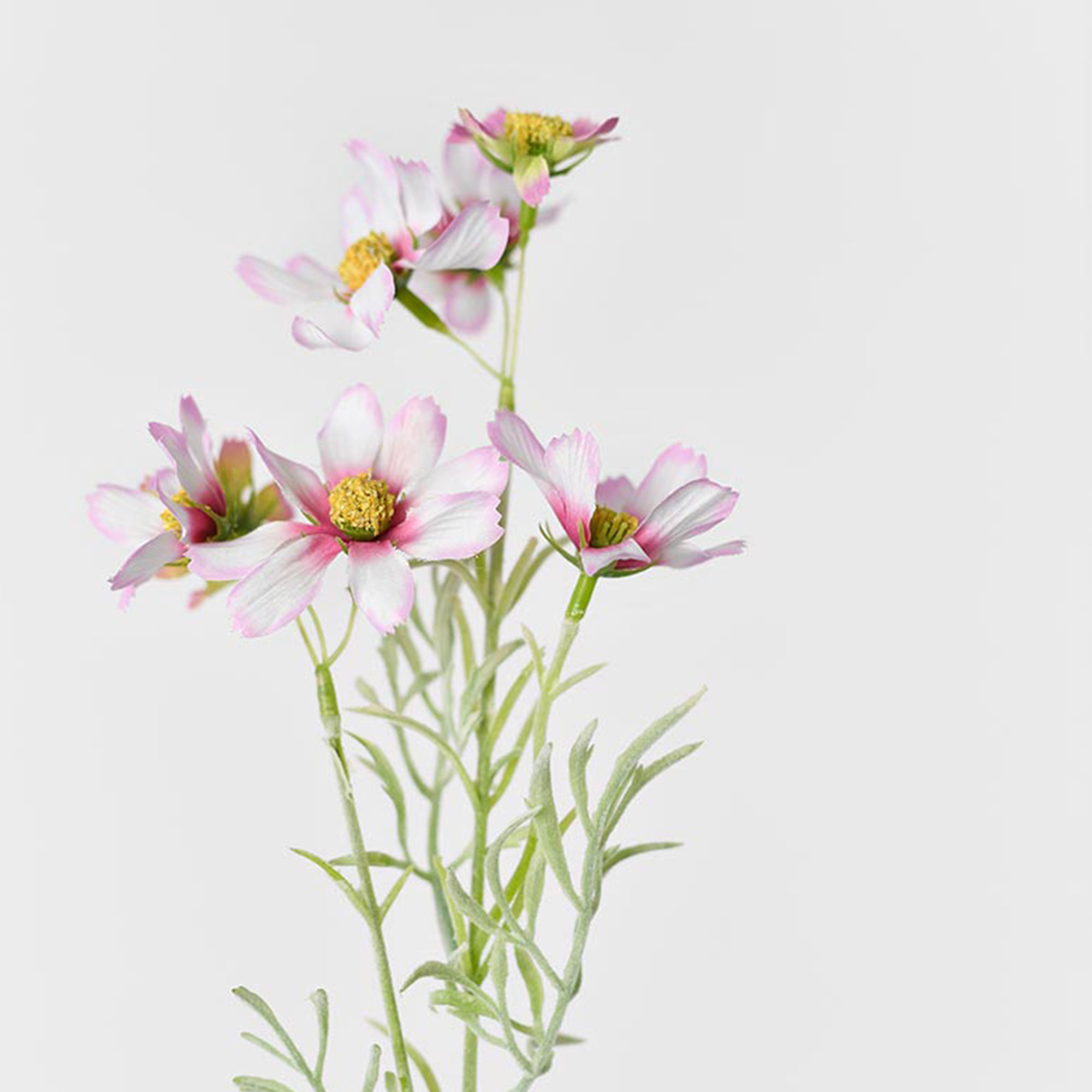 Creamy White Silk Decorative Artificial Cornflower, Pink, 18.33" x 4"