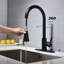 Robinet de cuisine avec douchette extractible-118388152