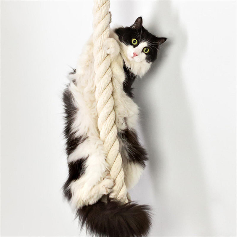 55" Cat Climbing Rope and Hammock Set