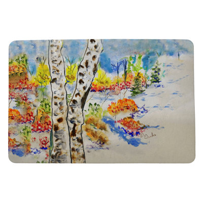 Non-Slip Outdoor Doormat