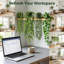 Ensemble de 4 plantes suspendues artificielles avec pots, faux eucalyptus et lierre pour décoration de tablette de salle de bain