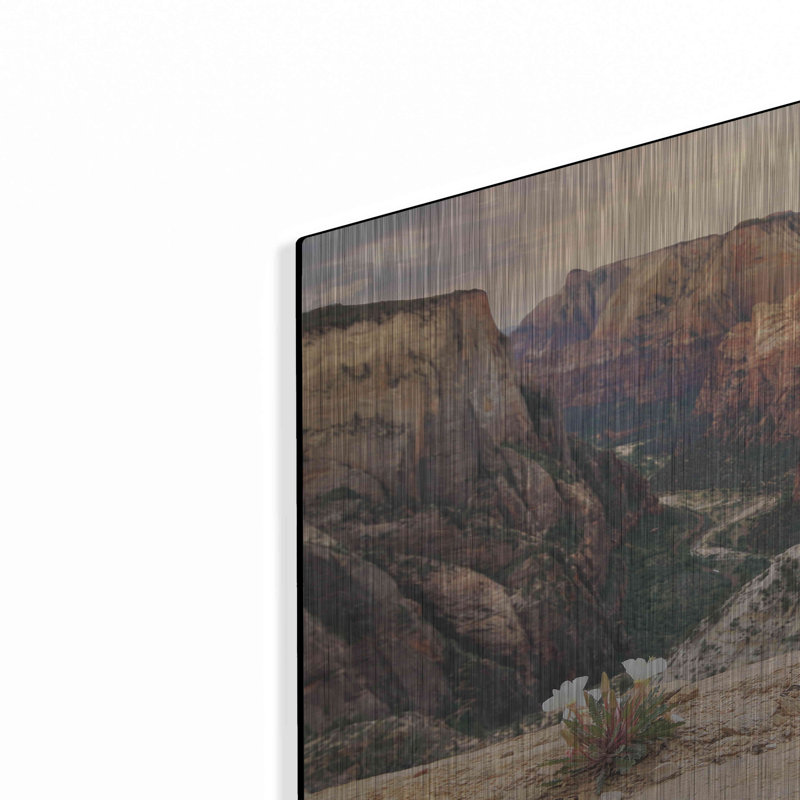 «Zion Desert Life» par Lori Deiter, H 16 po x l 24 po