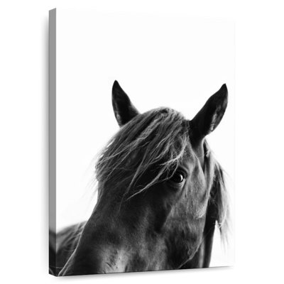 Cheval noir sauvage Brampt