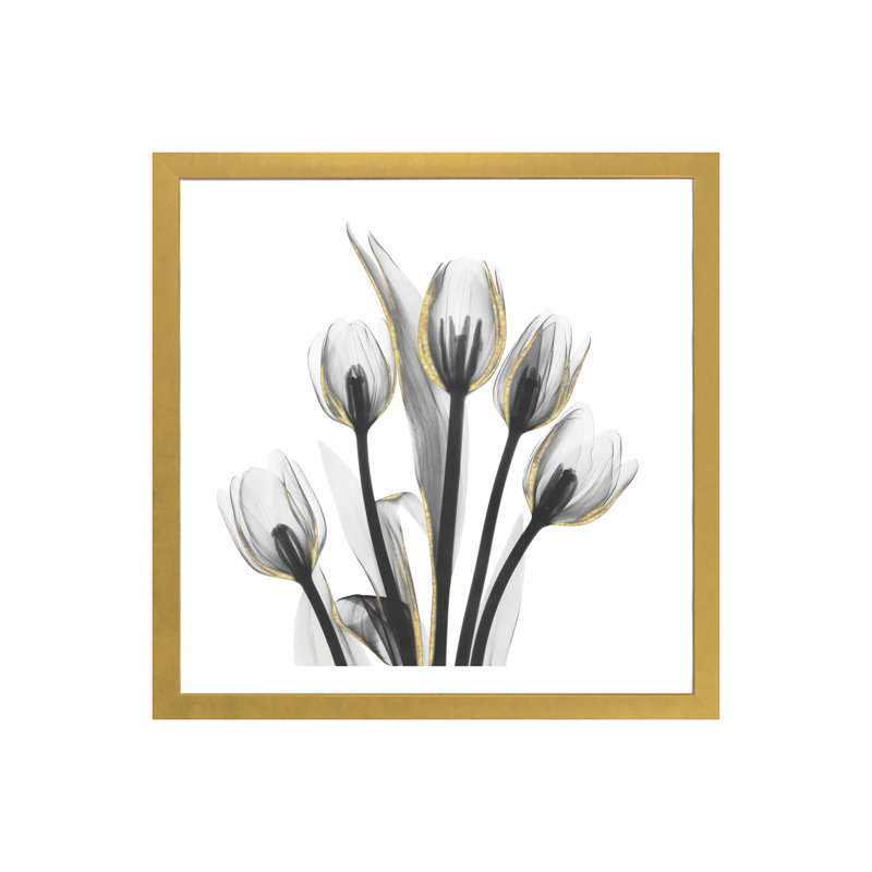 « doréy tulipes i » par albert koetsier,-print, H 24 po x l 24 po x P 1 po, Papier encadré doré