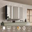 Miroir pour armoire de salle de bain Carollynn