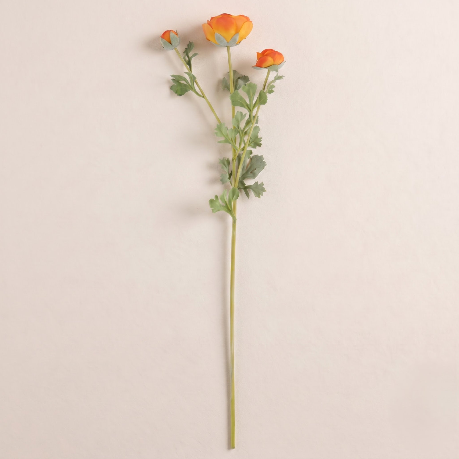 Rimma Ranunculus Stems, Orange