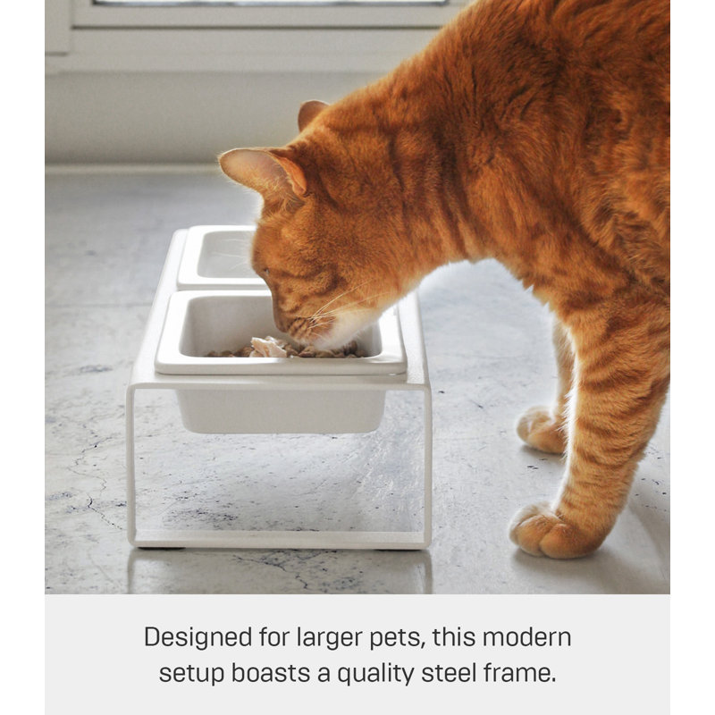 White Elevated Steel and Ceramic Pet Food Stand with Two Bowls