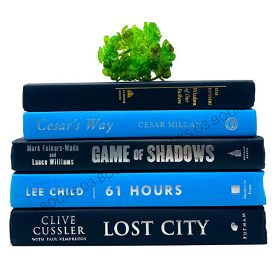 Livres décoratifs Mattews