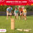 Kubb Yard Game with Crate