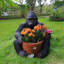 Sculpture de jardin d'extérieur pour jardin pot de fleurs pour chimpanzés - décoration de statue de jardin unique, ornement extérieur de loi intéressante