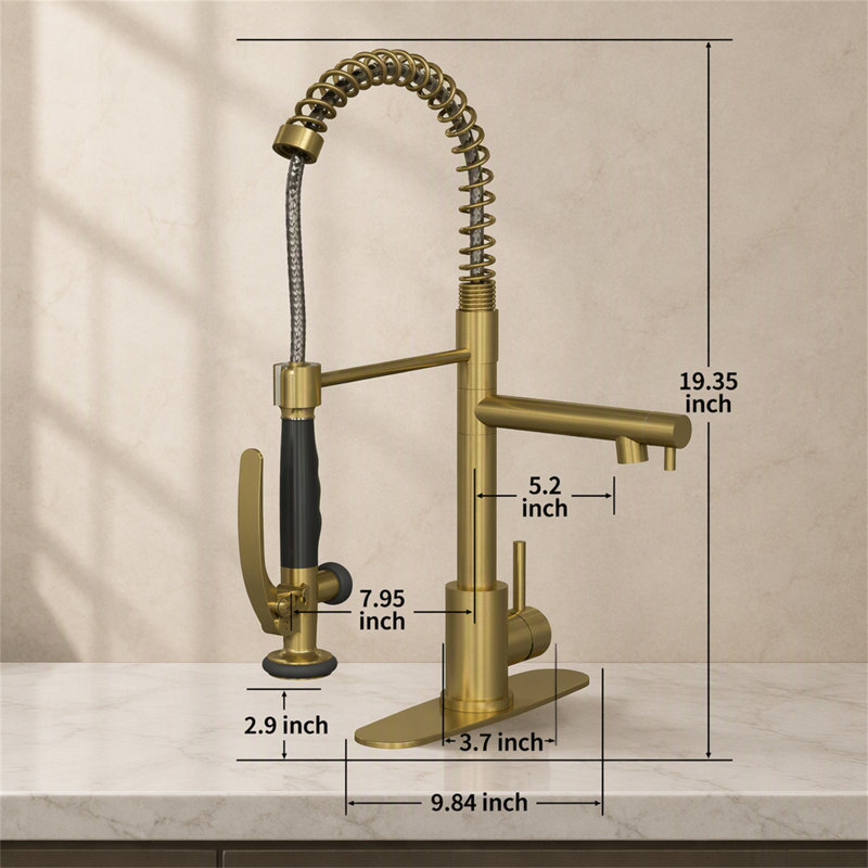ROBOHIGH Kitchen Faucet Side Spray