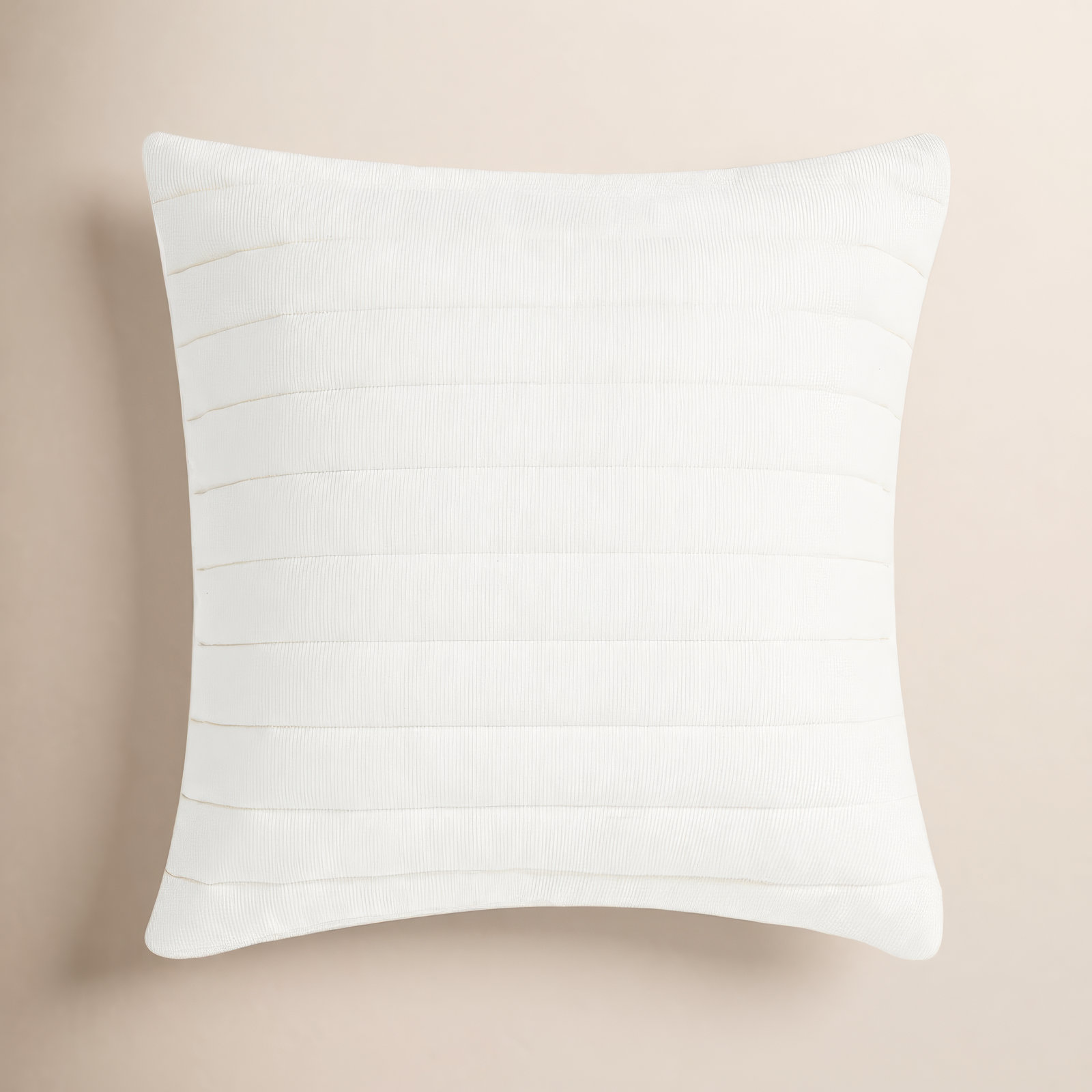Vincie 20" x 20" Throw Pillow, Cream