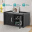 Outdoor Shoe Cabinet Double Doors-58997444