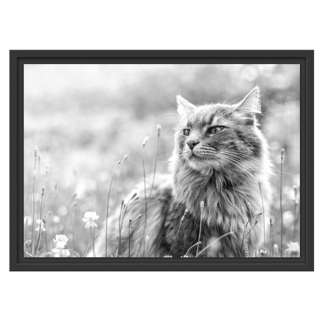 Gerahmtes Wandbild Katze in der Wildnis Kunst B&W