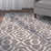 Stonybrook Memphis Shag Performance Rug