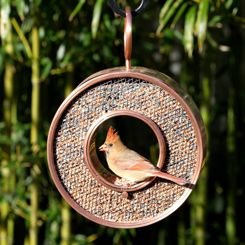 Caesaria Metal Hanging Decorative Bird Feeder