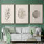 Shore Treasure Study I 3 pièces-97711696-97711694