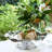 PEDESTAL Cake Stand