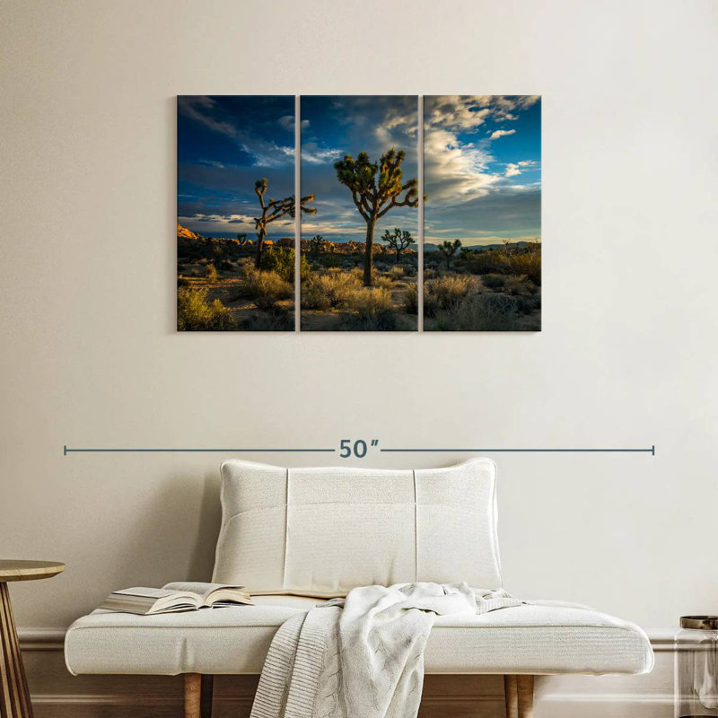 Paysage du parc national Sebbie Joshua Tree, H 24 po x l 38 po