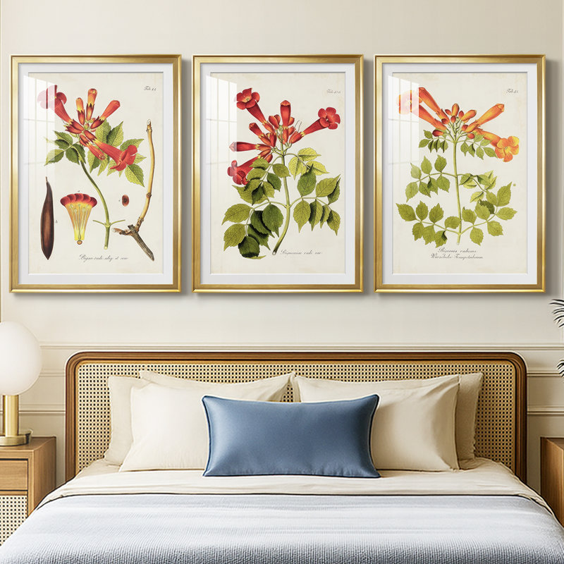 Fleurs tropicales de trompette I - impression encadrée sur mesure de qualité supérieure - 3 pièces, H 19 po x l 27 po, Doré