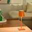 Poldina Pro Mini Table Lamp-811738207