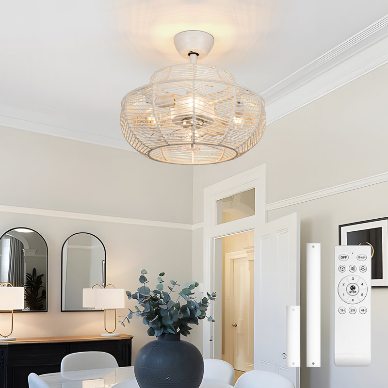 Ventilateur de plafond en cage 20 po avec lumières et télécommande Boho