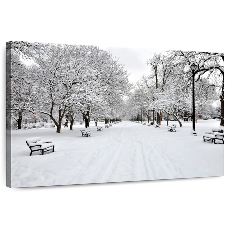 Sirci, parc enneigé de Washington Park, H 32 po x l 48 po