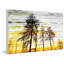 «Trees Against Gold Sky» par Parvez Taj - reproduction de photo-1361337245-1401645178