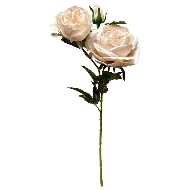 Anastasija Arrangement, Pink, 58 cm H x 10 cm W x 10 cm D