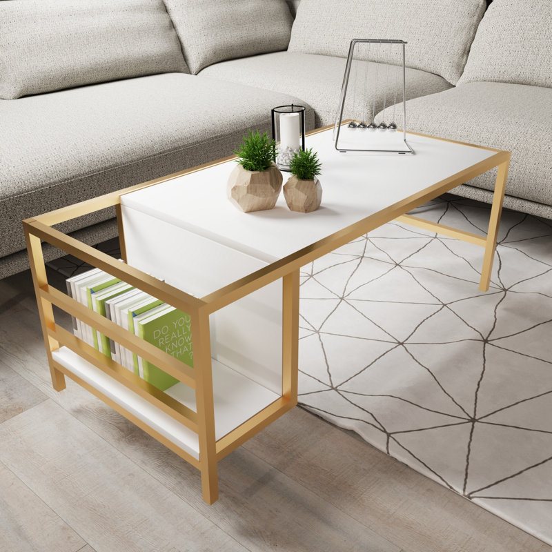 Aliona Coffee Table with Storage, White/Gold