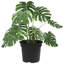 Round Flower Pot 6 Pcs Plastic-701502284-701502281