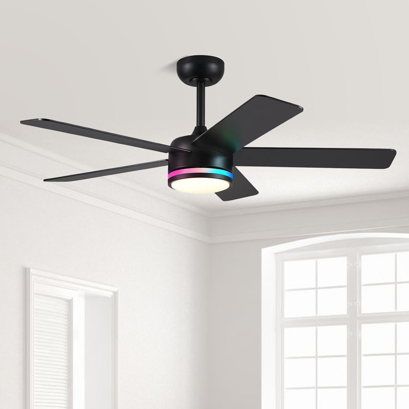 46" 5-blade Modern Ceiling Fan With Lights And Remote Control, Black-RGB