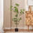 Artificial Milan Leaf Bonsai Tree with Realistic Leaves and Decorative Branches