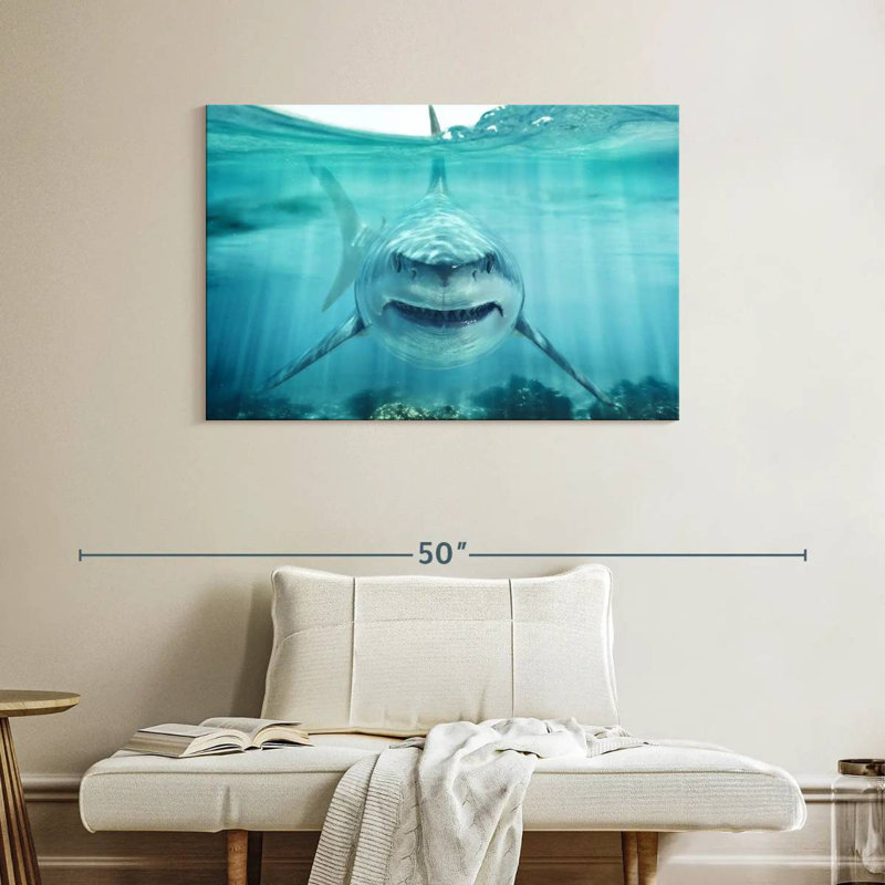 Requin blanc Brampt, H 26 po x l 39 po