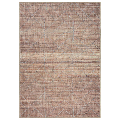 GLN Rugs Contemporary - Machine Washable Area Rug, Bohemian Vintage Washable Rug, Non Slip Area Rug, Low Pile Chenille Living Room Rug, Bedroom Rug, Bathroom Rug (Brown Rug)