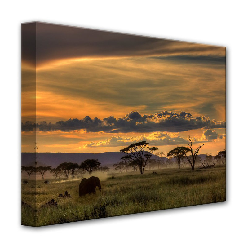 « africa »-reproduction de photo sur toile tendue, H 16 po x l 20 po