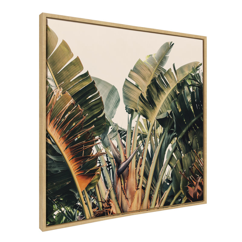 «Hue 2» par Alicia Bock, reproduction d'art sur toile encadrée