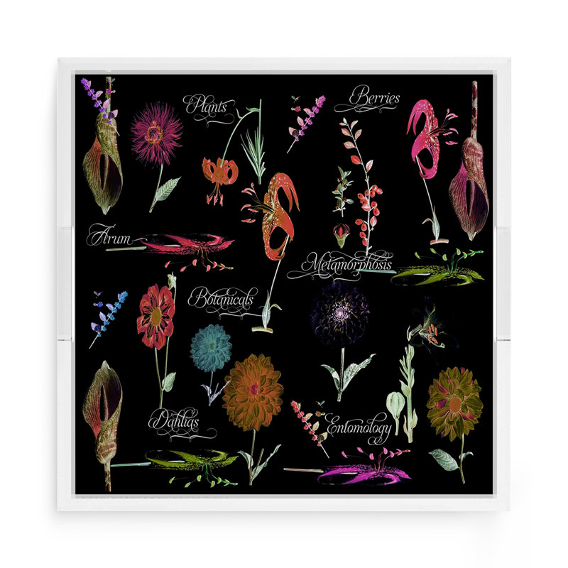 Plateau décoratif carré en acrylique Botanicals Xray, Rouge, L 15 po x P 15 po x H 2 po