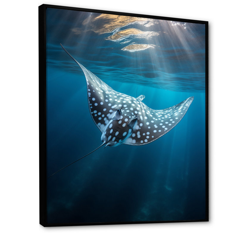 Wilbrecht Ray Graceful Glide Ocean sur toile, H 32 po x l 24 po x P 1 po, Cadre flottant noir