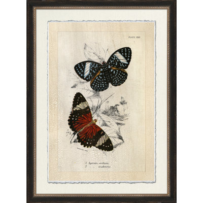 «Crackled Jardine Butterfly IV», cadre photo, impression sur verre