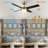 Edelbert 52'' Ceiling Fan with LED Lights-1833187486-1833187485