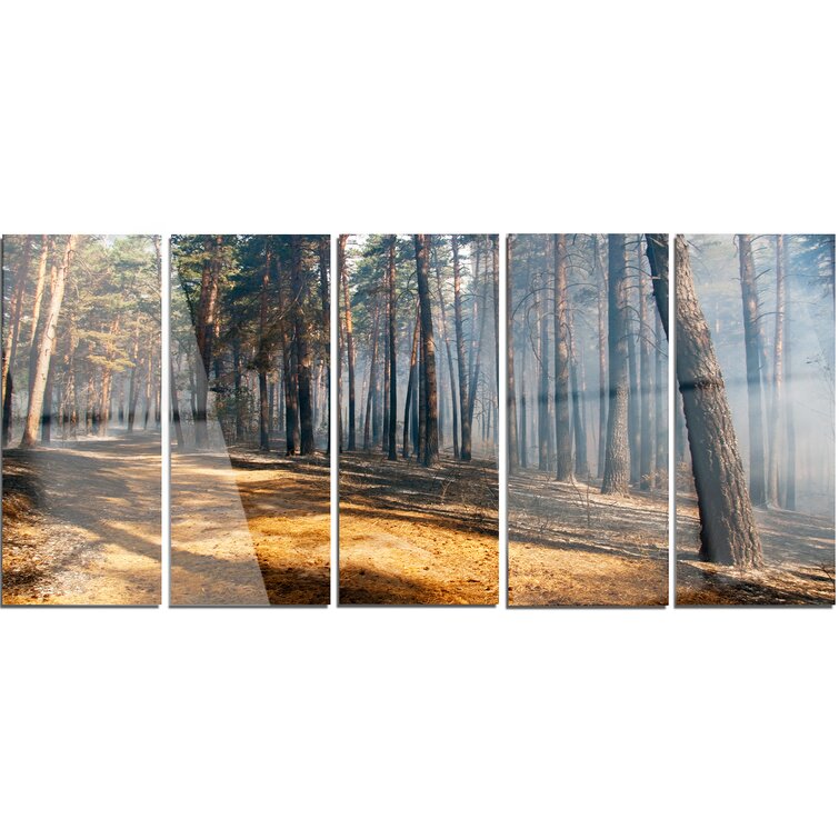 DesignArt Fire In Forest With Flame And Smoke On Canvas 5 Pieces Print ...